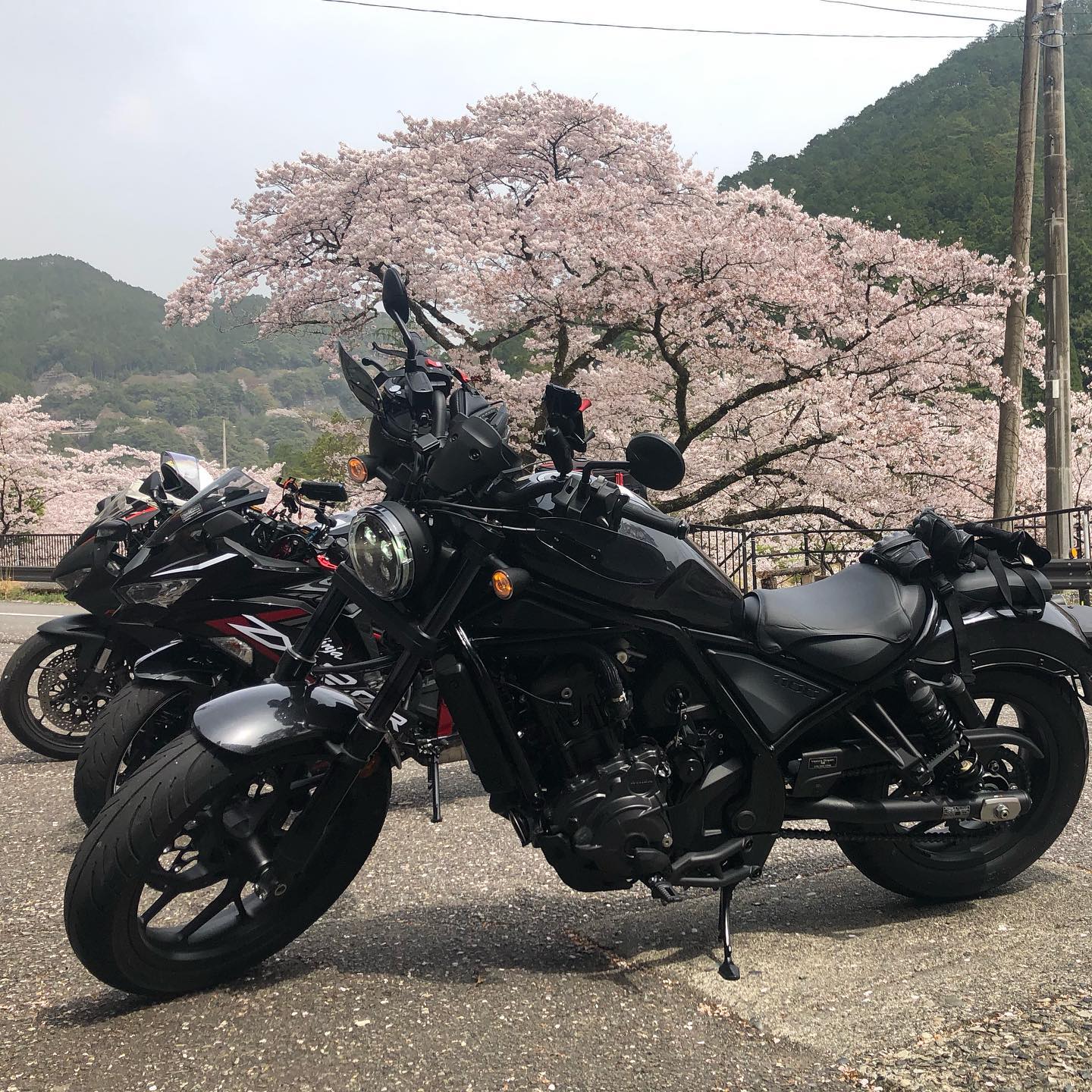 桜ツーリングに奈良まで行って来たよー